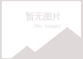 兰山区凝天化学有限公司